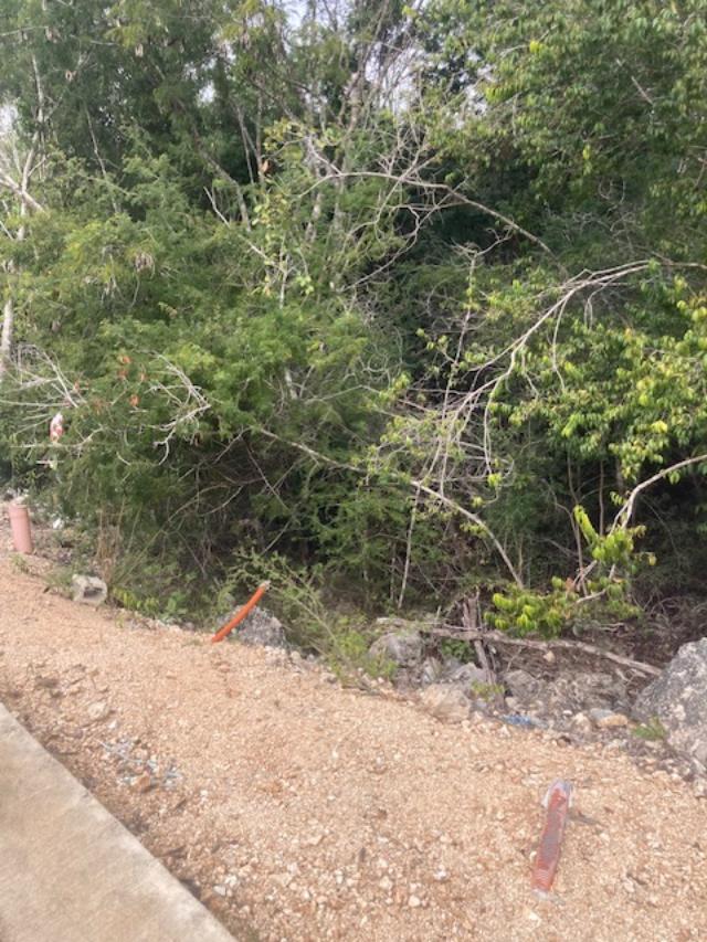 TERRENO EN RESIDENCIAL ALTÁI DE GRUPO CUMBRES CANCÚN AV. HUAYACÁN — foto 2 de 5 · Av. Huayacán